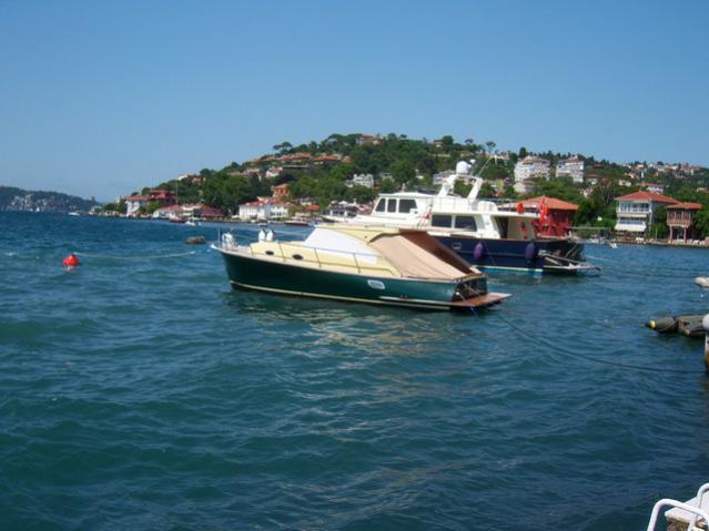 Name:  100_2523.jpg
Views: 365
Size:  39.4 KB