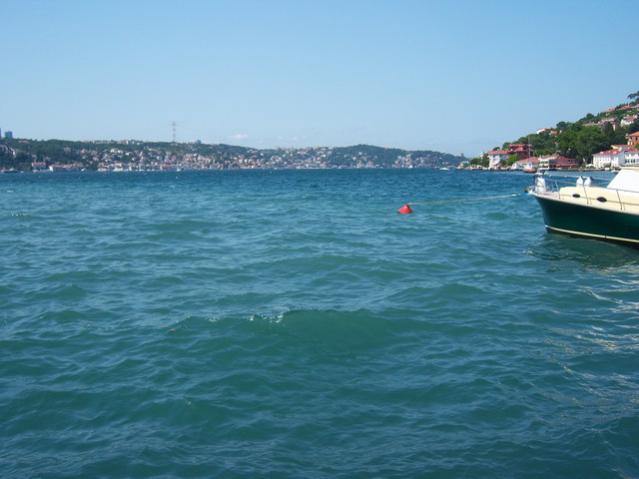 Name:  100_2524.jpg
Views: 375
Size:  35.0 KB