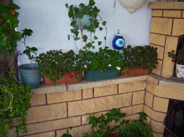 Name:  100_2529.jpg
Views: 348
Size:  48.4 KB