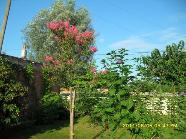 Name:  177.jpg
Views: 1319
Size:  70.4 KB