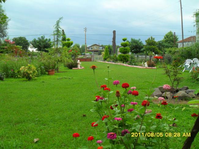 Name:  150.jpg
Views: 780
Size:  57.5 KB