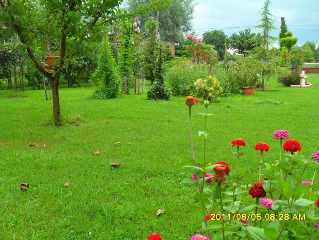 Name:  151.jpg
Views: 755
Size:  69.3 KB
