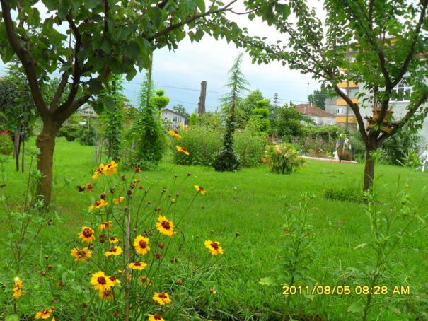 Name:  152.jpg
Views: 784
Size:  71.4 KB