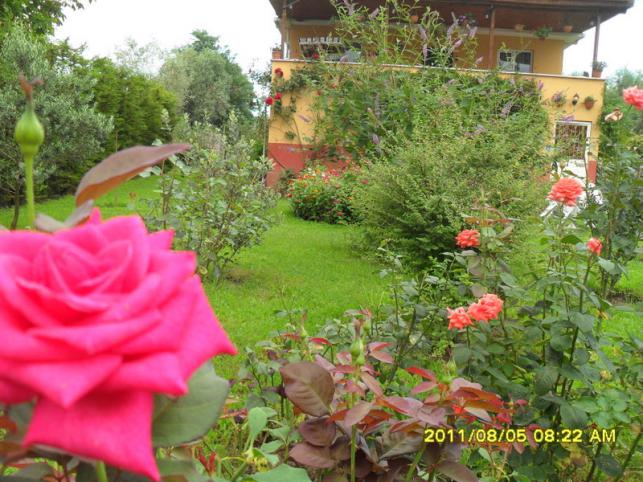 Name:  128.jpg
Views: 757
Size:  70.8 KB