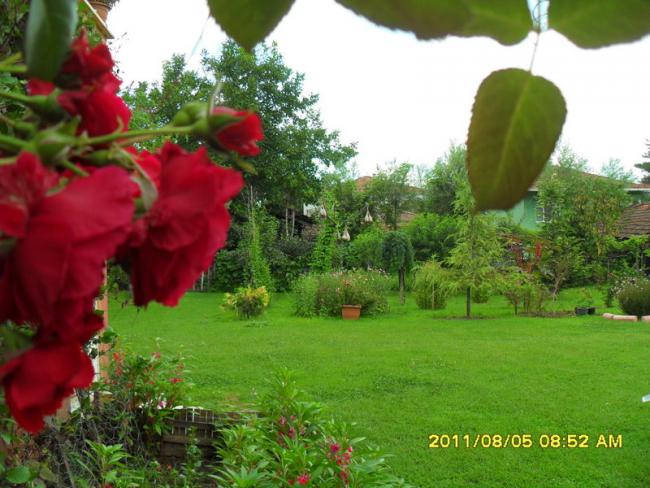 Name:  166.jpg
Views: 765
Size:  55.3 KB