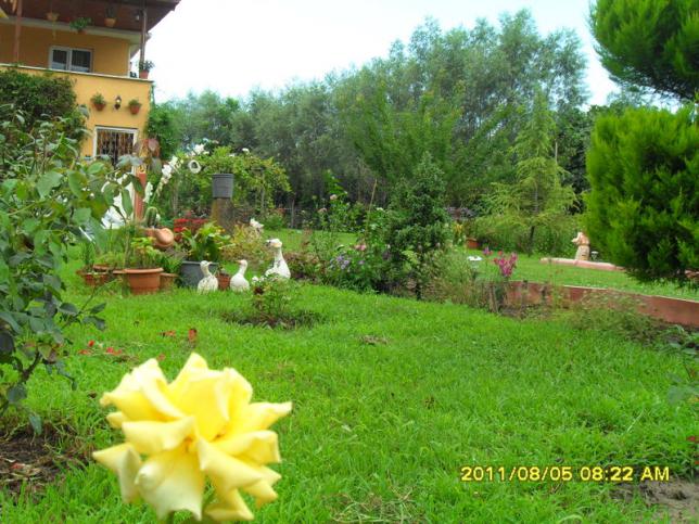 Name:  126.jpg
Views: 751
Size:  70.5 KB