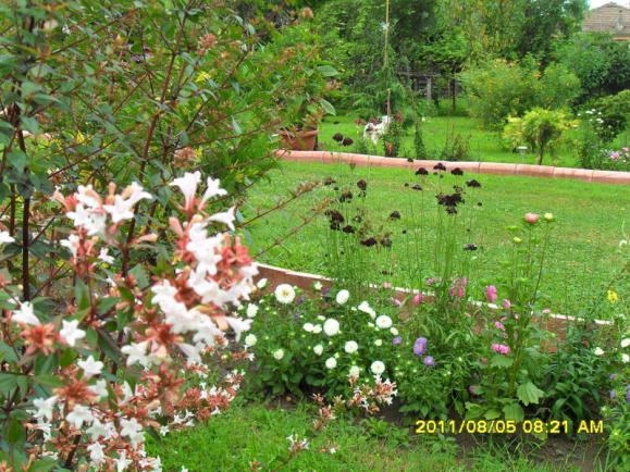 Name:  120.jpg
Views: 738
Size:  72.7 KB