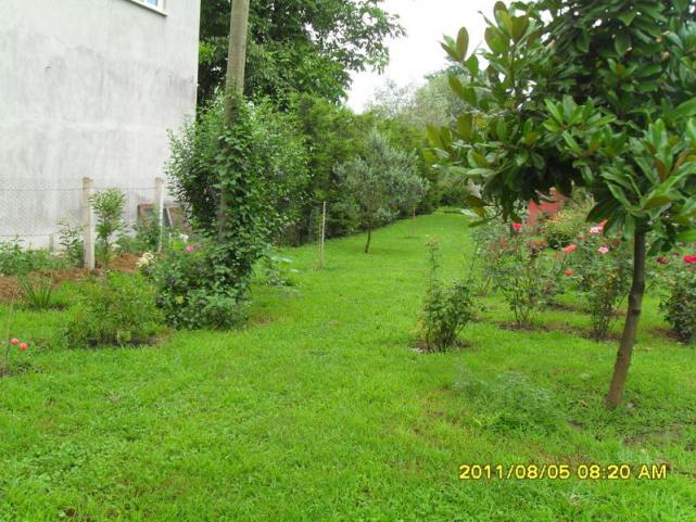 Name:  112.jpg
Views: 776
Size:  71.1 KB