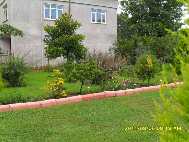 Name:  104.jpg
Views: 752
Size:  69.6 KB