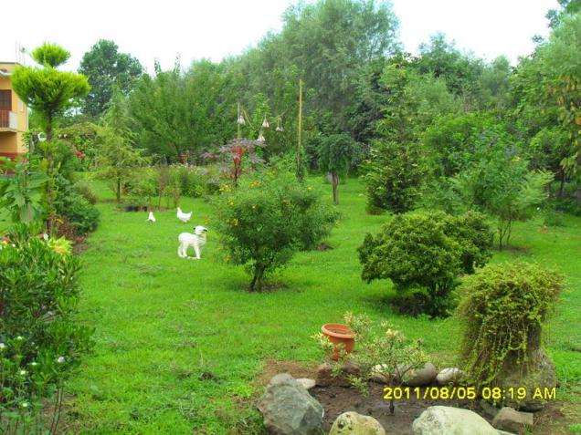 Name:  103.jpg
Views: 742
Size:  70.3 KB