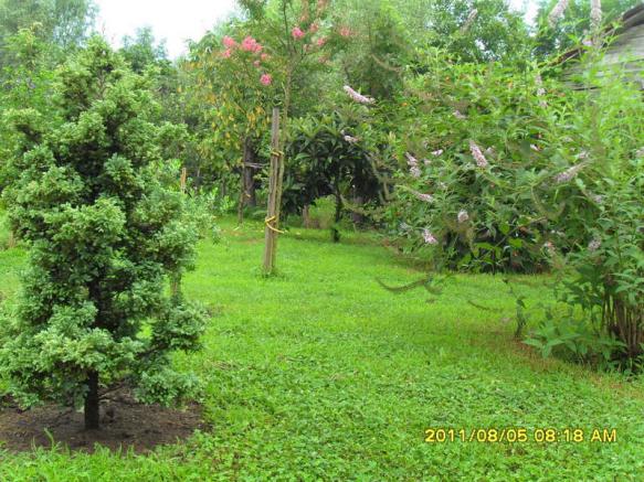 Name:  098.jpg
Views: 779
Size:  71.4 KB