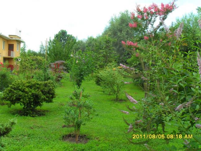 Name:  092.jpg
Views: 737
Size:  67.0 KB