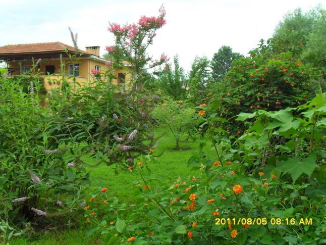 Name:  081.jpg
Views: 769
Size:  70.1 KB
