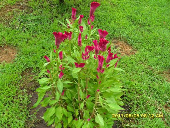 Name:  068.jpg
Views: 759
Size:  71.9 KB