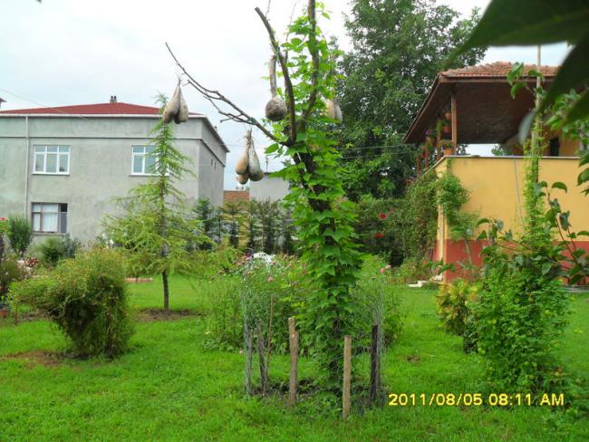 Name:  067.jpg
Views: 955
Size:  68.6 KB