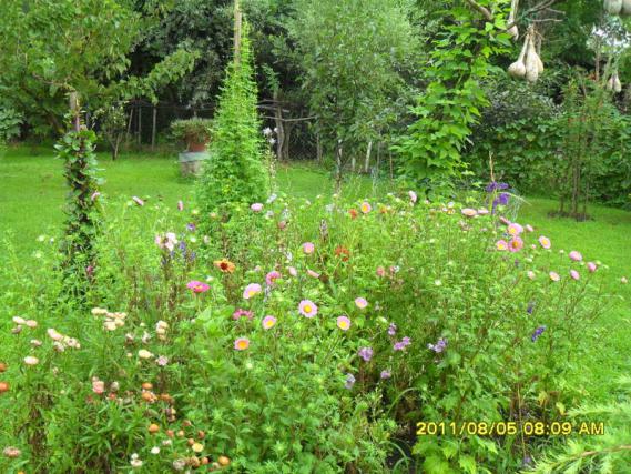 Name:  059.jpg
Views: 1036
Size:  72.5 KB
