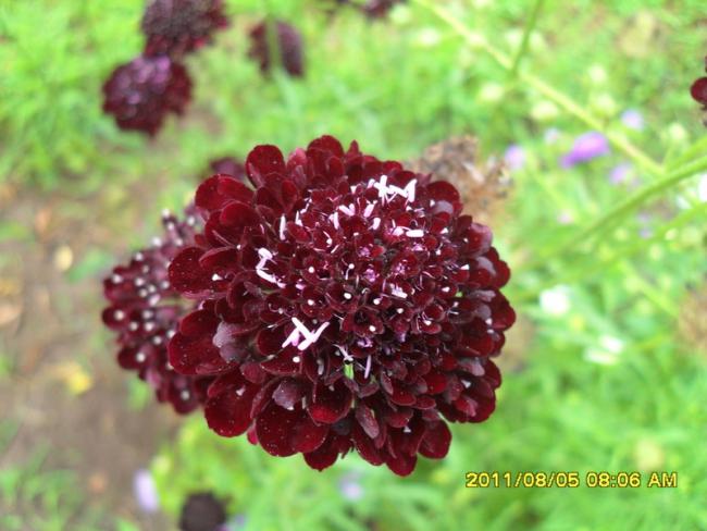 Name:  040.jpg
Views: 913
Size:  45.9 KB