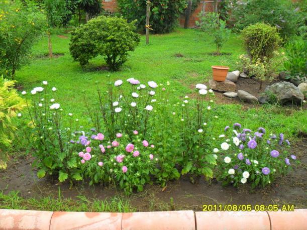 Name:  034.jpg
Views: 729
Size:  71.1 KB