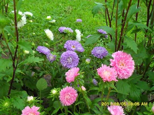Name:  033.jpg
Views: 753
Size:  71.4 KB