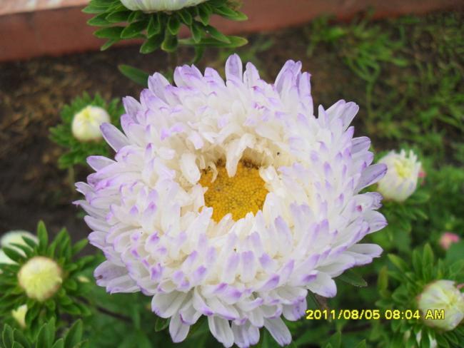Name:  028.jpg
Views: 746
Size:  42.8 KB