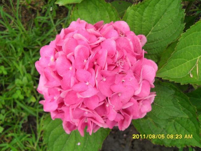 Name:  129.jpg
Views: 549
Size:  48.5 KB