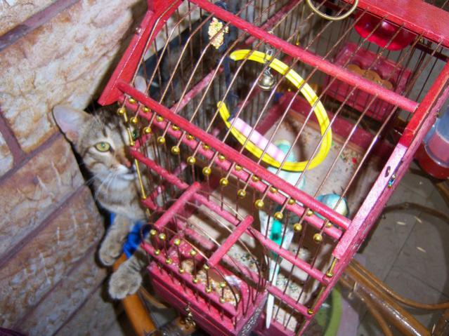 Name:  100_2535.jpg
Views: 355
Size:  64.9 KB