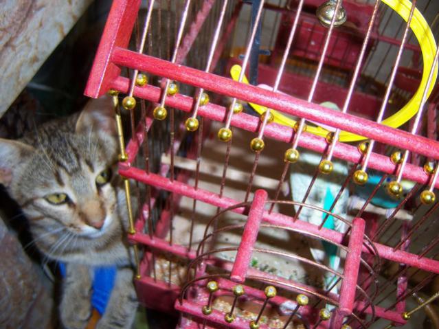 Name:  100_2536.jpg
Views: 374
Size:  59.1 KB