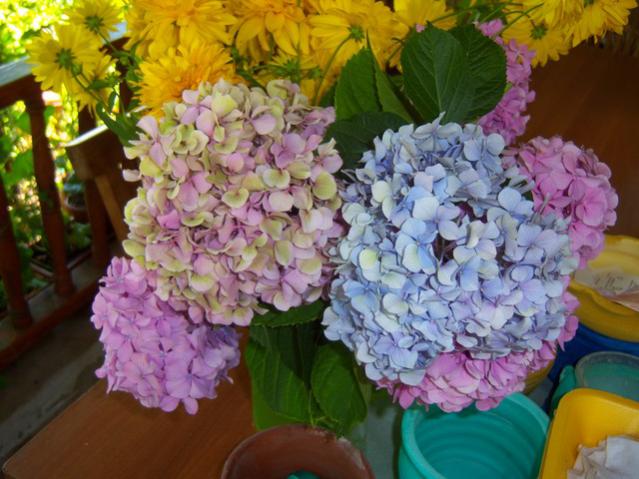 Name:  100_2548.jpg
Views: 375
Size:  53.5 KB