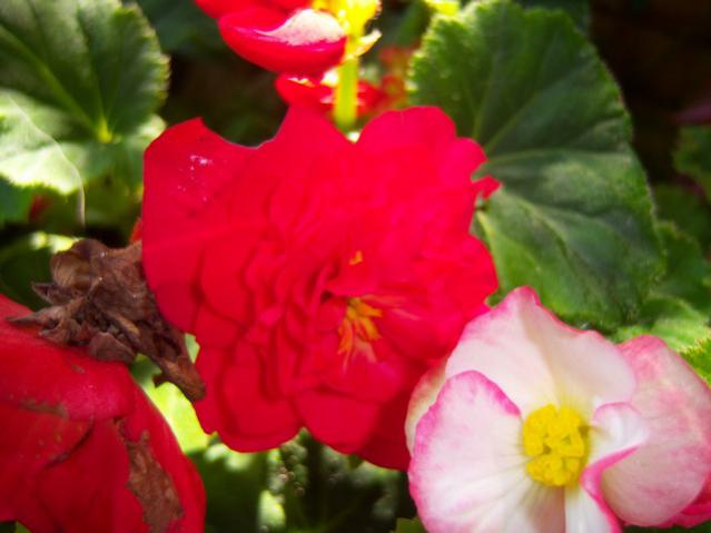 Name:  100_2552.jpg
Views: 406
Size:  32.6 KB