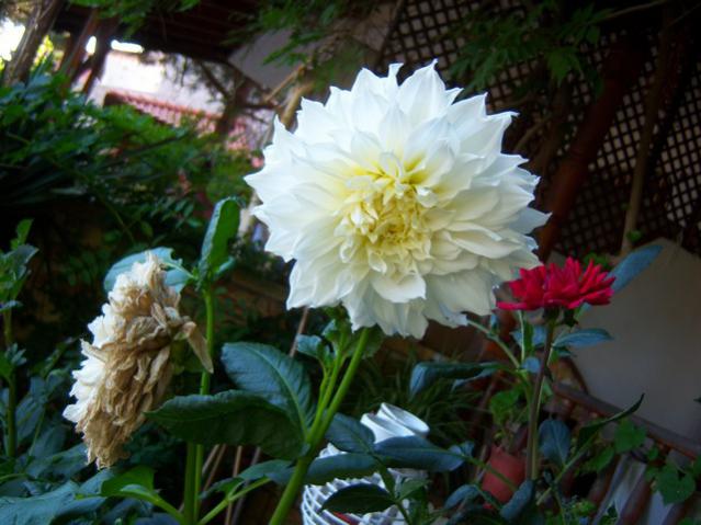 Name:  100_2569.jpg
Views: 384
Size:  47.3 KB