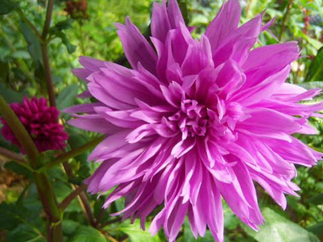 Name:  100_2589.jpg
Views: 415
Size:  53.1 KB