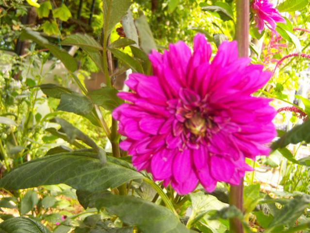 Name:  100_2590.jpg
Views: 401
Size:  59.8 KB