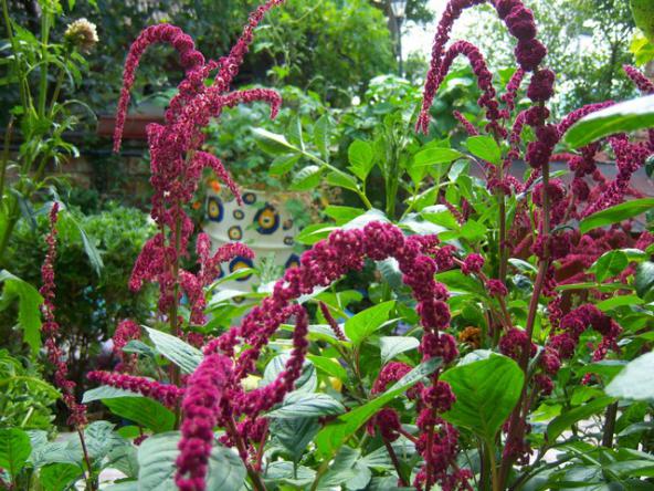 Name:  100_2593.jpg
Views: 387
Size:  72.6 KB