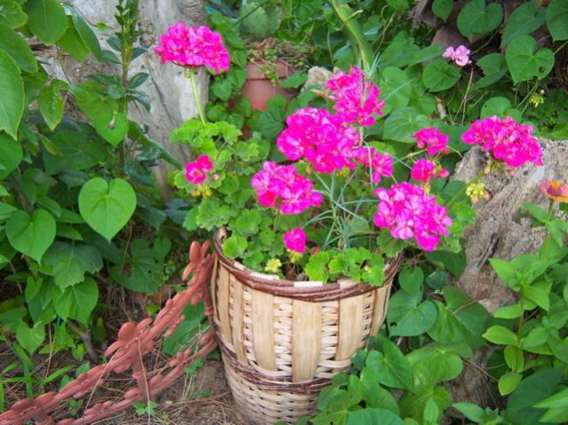 Name:  100_2612.jpg
Views: 384
Size:  68.9 KB
