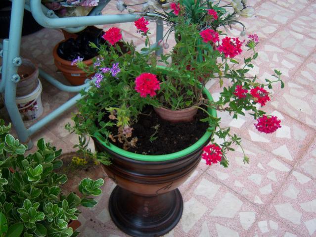 Name:  100_2650.jpg
Views: 371
Size:  60.5 KB