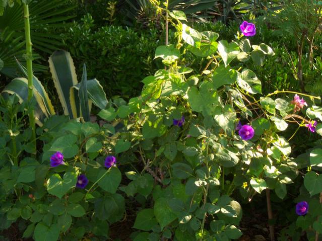 Name:  100_2661.jpg
Views: 343
Size:  62.5 KB