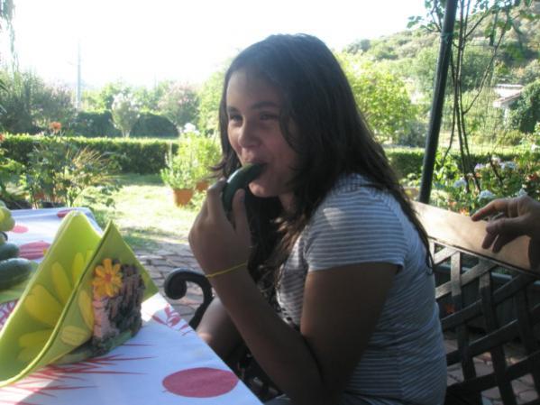 Name:  P8080376 (600 x 450).jpg
Views: 874
Size:  42.5 KB