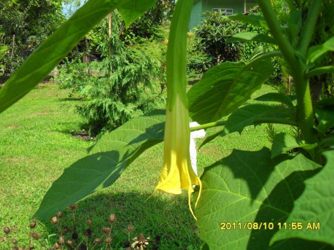 Name:  008.jpg
Views: 929
Size:  66.8 KB