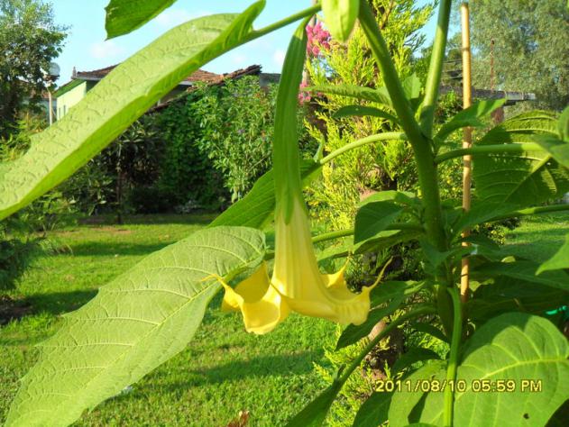 Name:  021.jpg
Views: 933
Size:  70.9 KB
