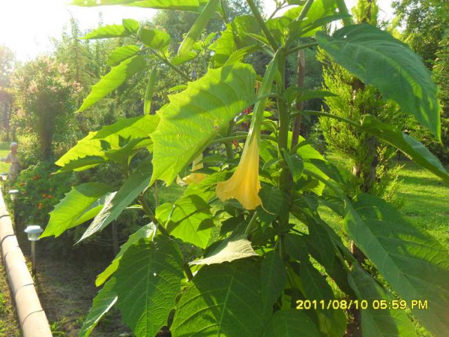 Name:  023.jpg
Views: 701
Size:  64.7 KB