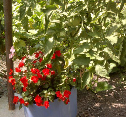 Name:  019.jpg
Views: 1511
Size:  57.5 KB