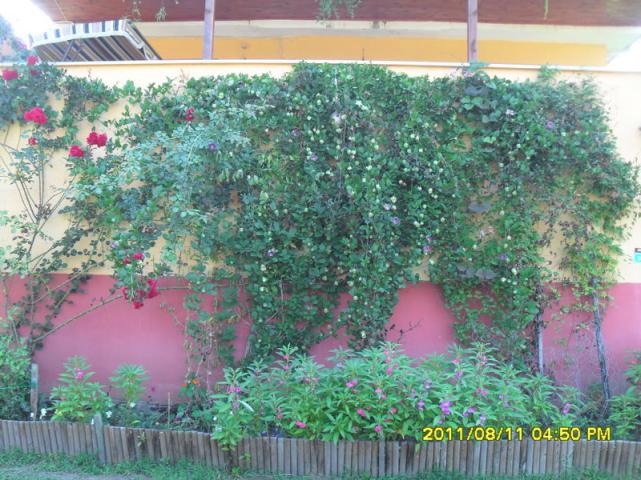 Name:  118.jpg
Views: 705
Size:  70.2 KB