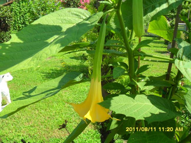 Name:  050.jpg
Views: 727
Size:  69.8 KB