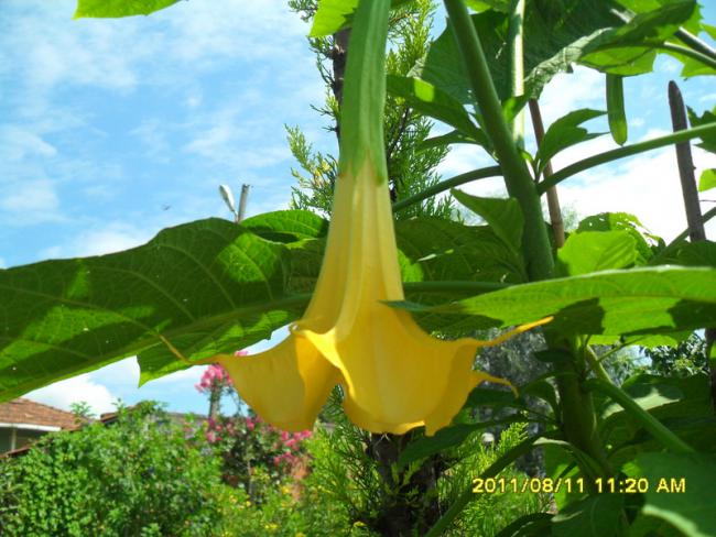 Name:  051.jpg
Views: 699
Size:  56.6 KB