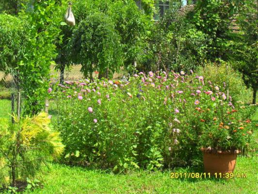 Name:  102.jpg
Views: 684
Size:  72.7 KB