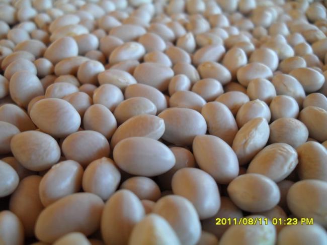 Name:  116.jpg
Views: 660
Size:  38.6 KB