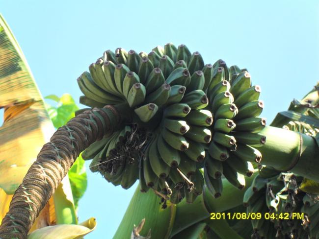 Name:  048.jpg
Views: 638
Size:  44.5 KB