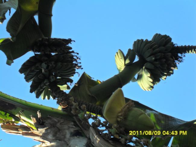 Name:  053.jpg
Views: 556
Size:  37.5 KB