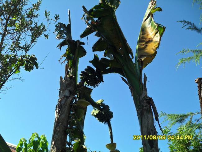 Name:  054.jpg
Views: 626
Size:  55.4 KB