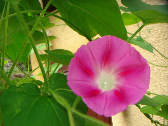Name:  Sabah Sefas  16.jpg
Views: 964
Size:  40.5 KB